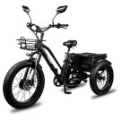 Электровелосипед Minako Trike