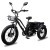 Электровелосипед Minako Trike  в Ростове-на-Дону